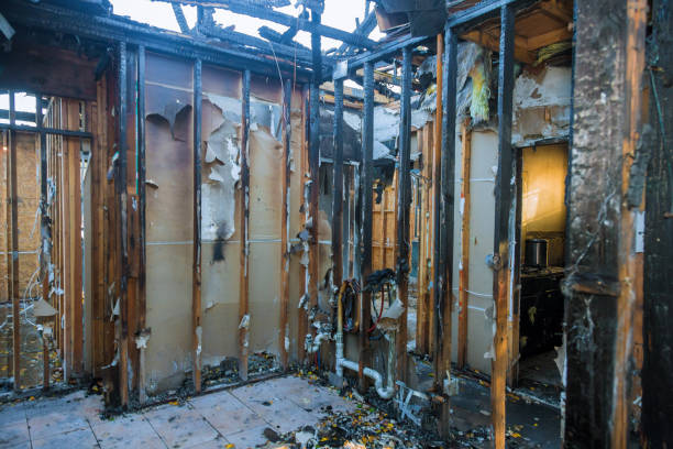 Professional Smoke Damage Removal technician working in Clifton, VA